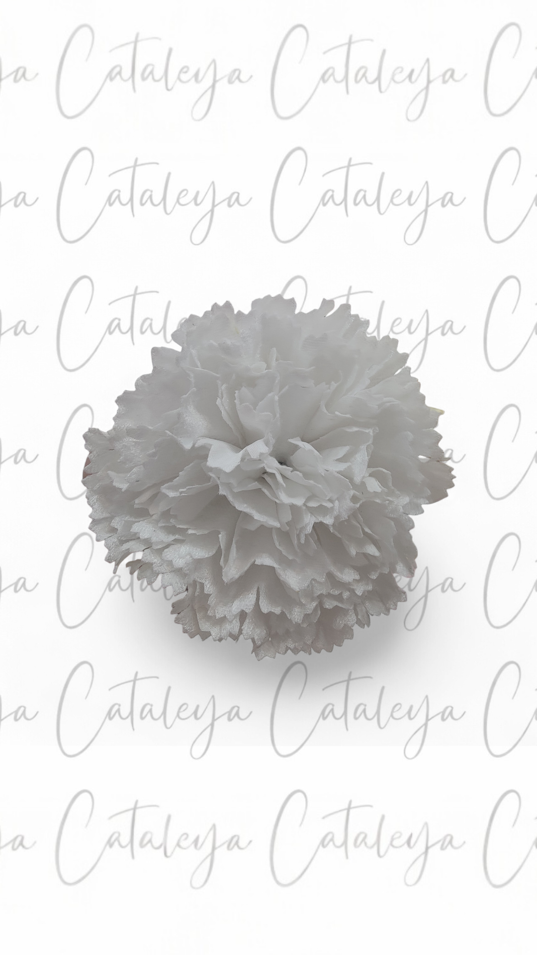 Clavel Terciopelo