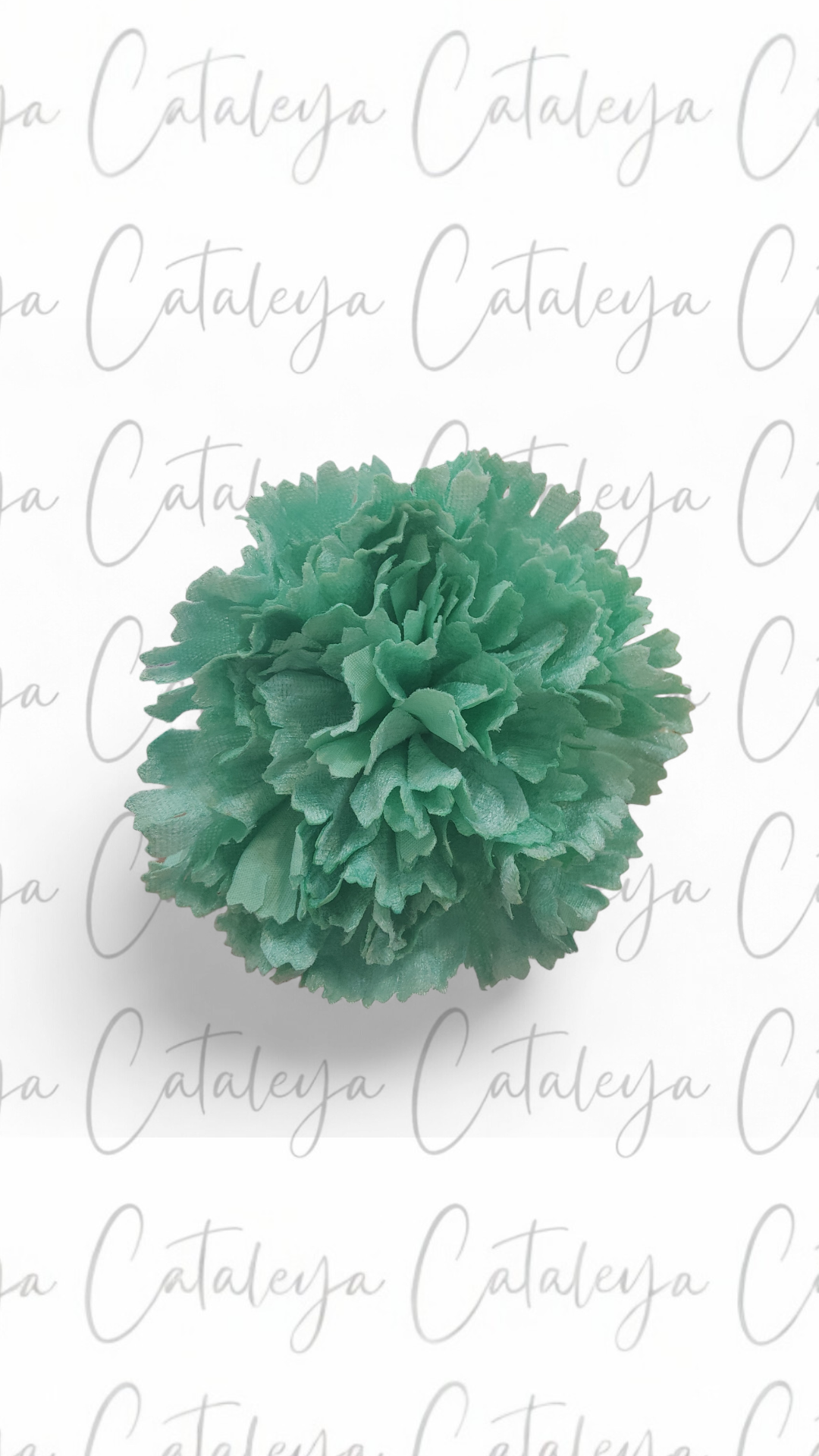 Clavel Terciopelo