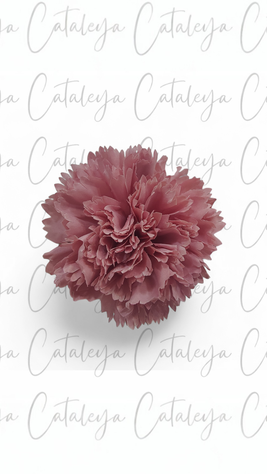 Clavel Mediano
