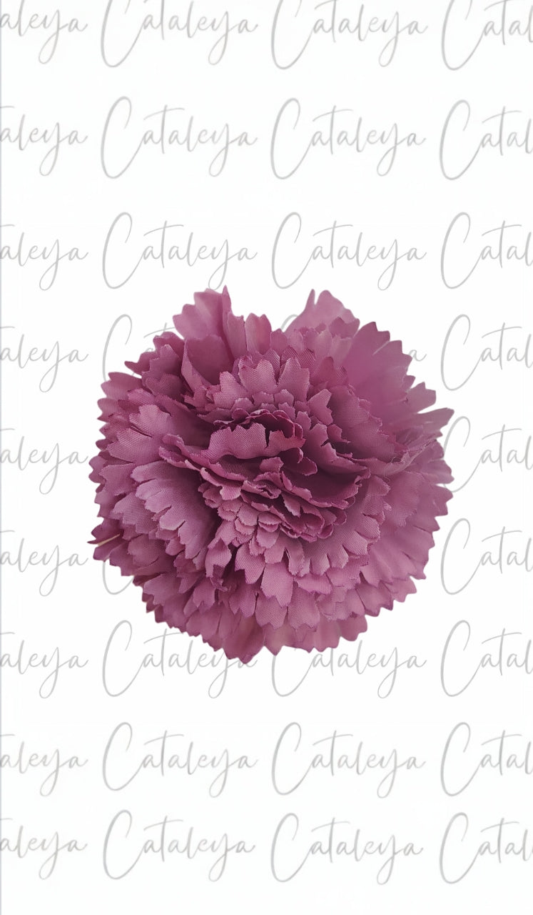 Clavel pequeño