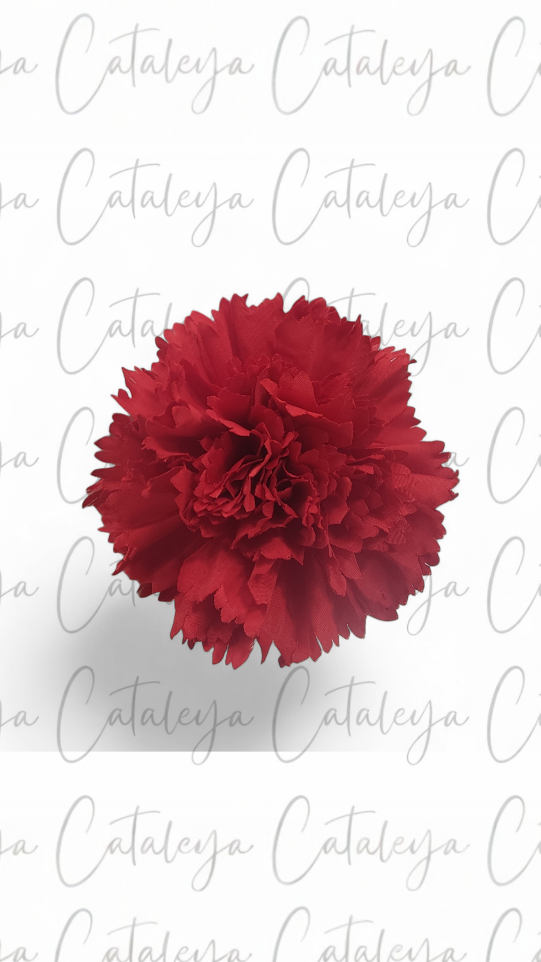 Clavel Mediano
