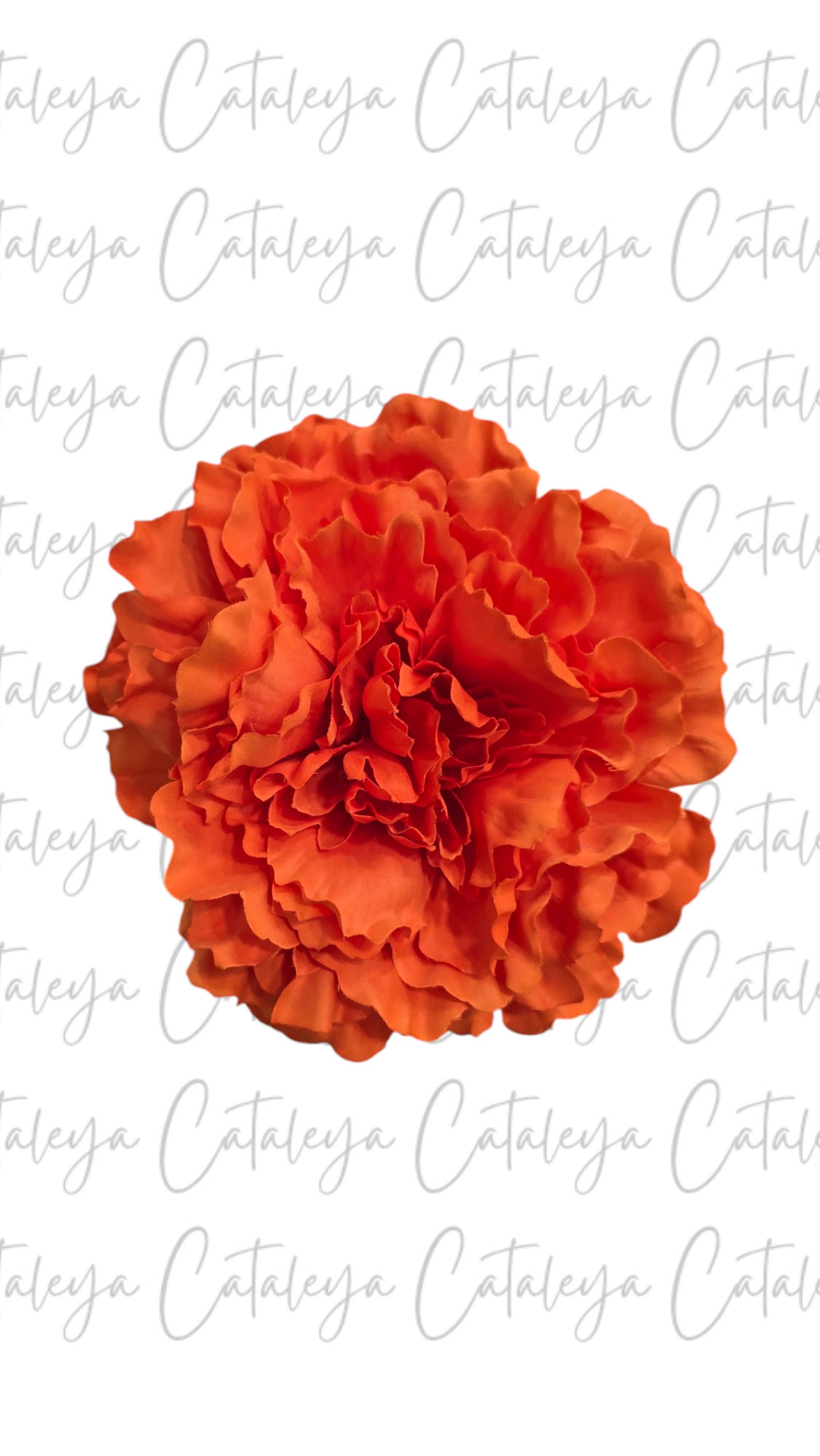 Peonia Grande