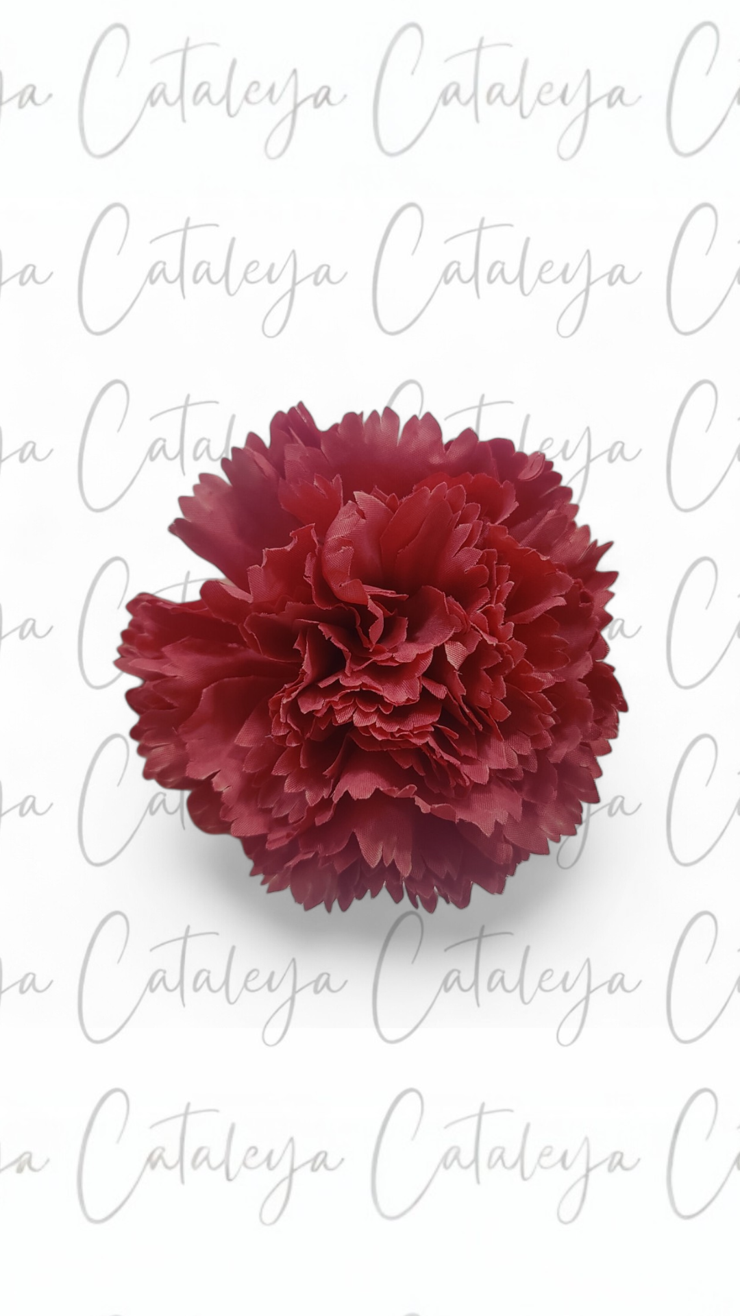 Clavel Mediano