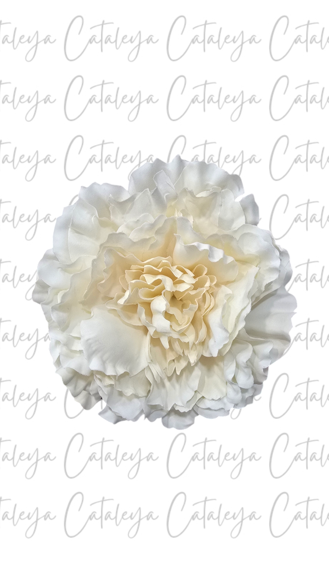 Peonia Grande