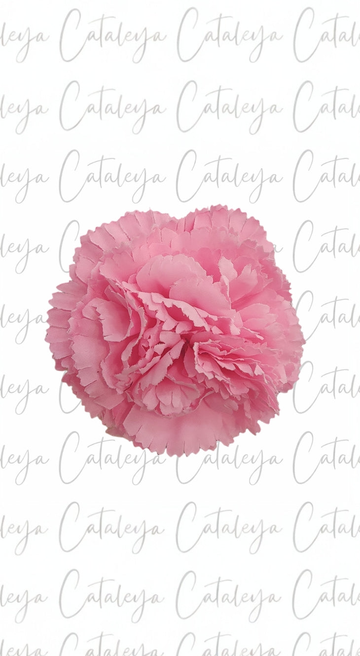 Clavel pequeño