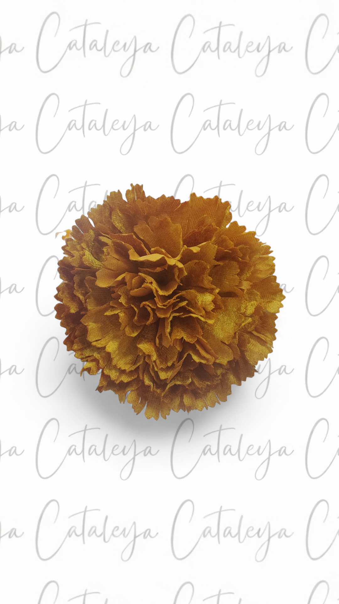 Clavel Terciopelo
