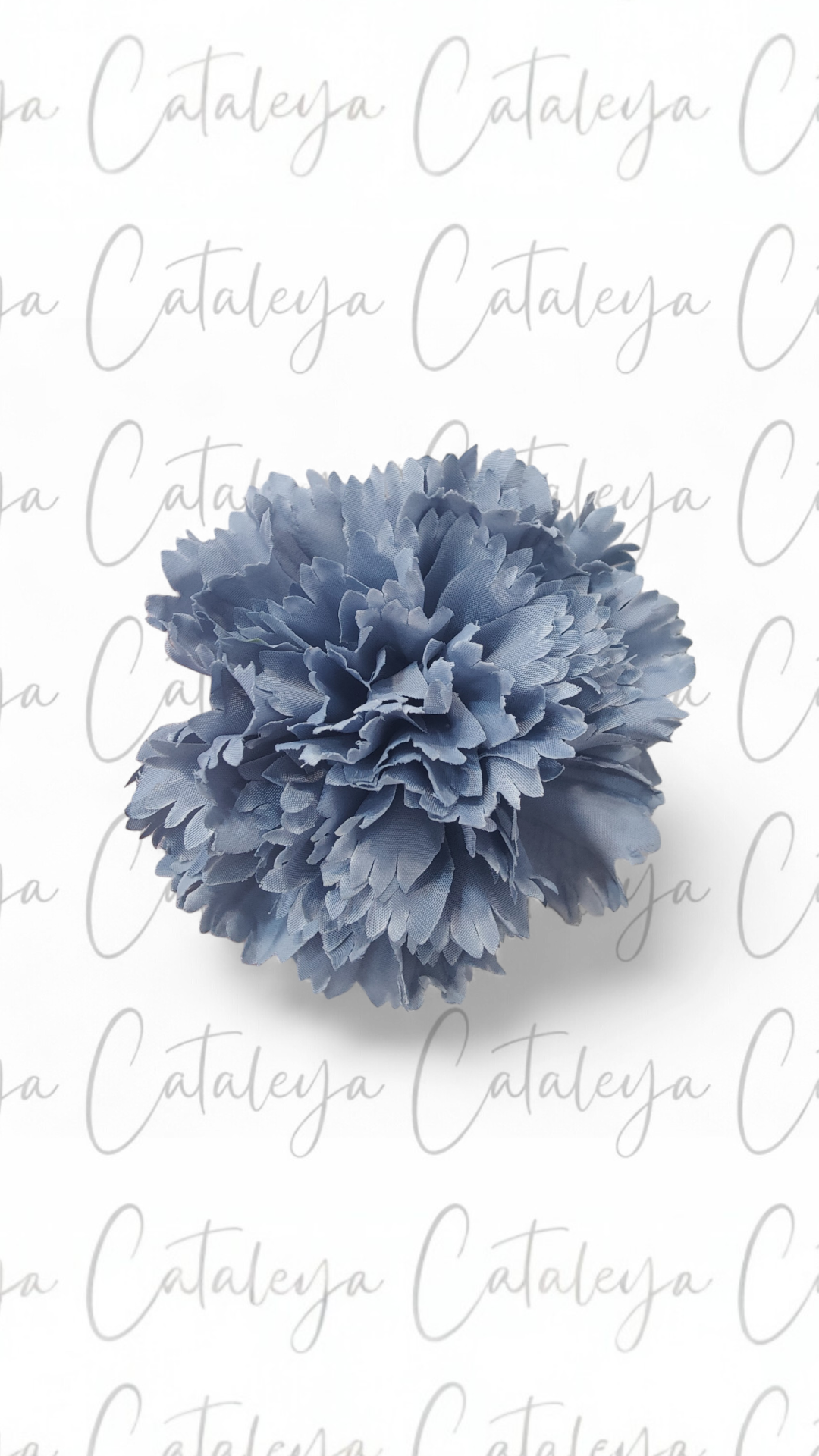Clavel Mediano