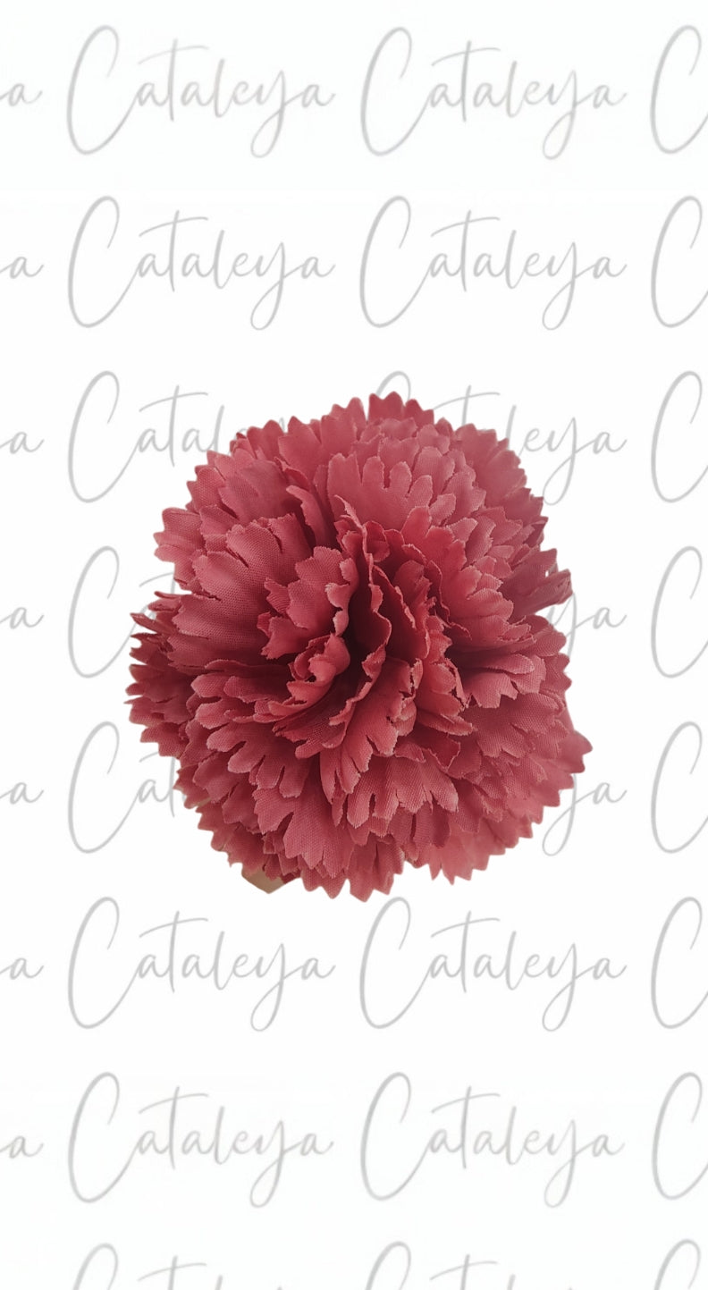 Clavel pequeño