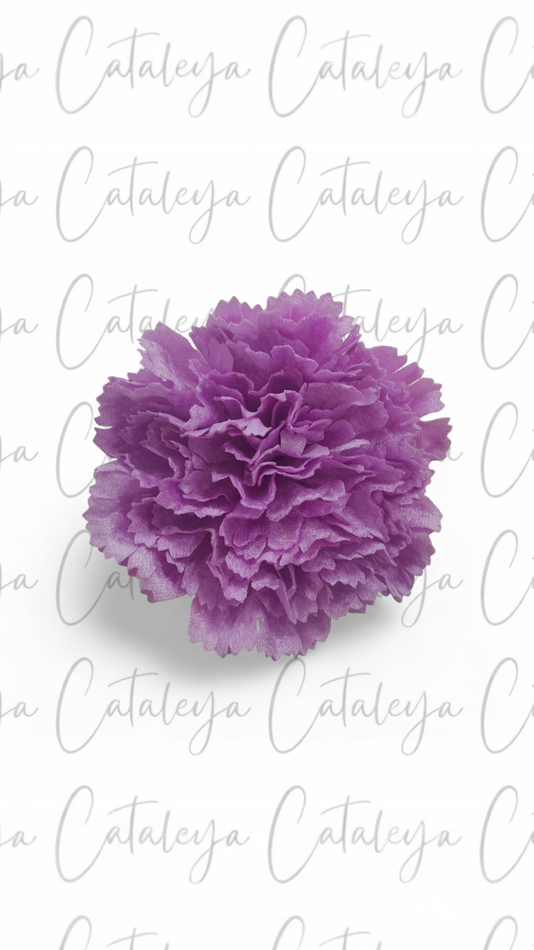 Clavel Terciopelo