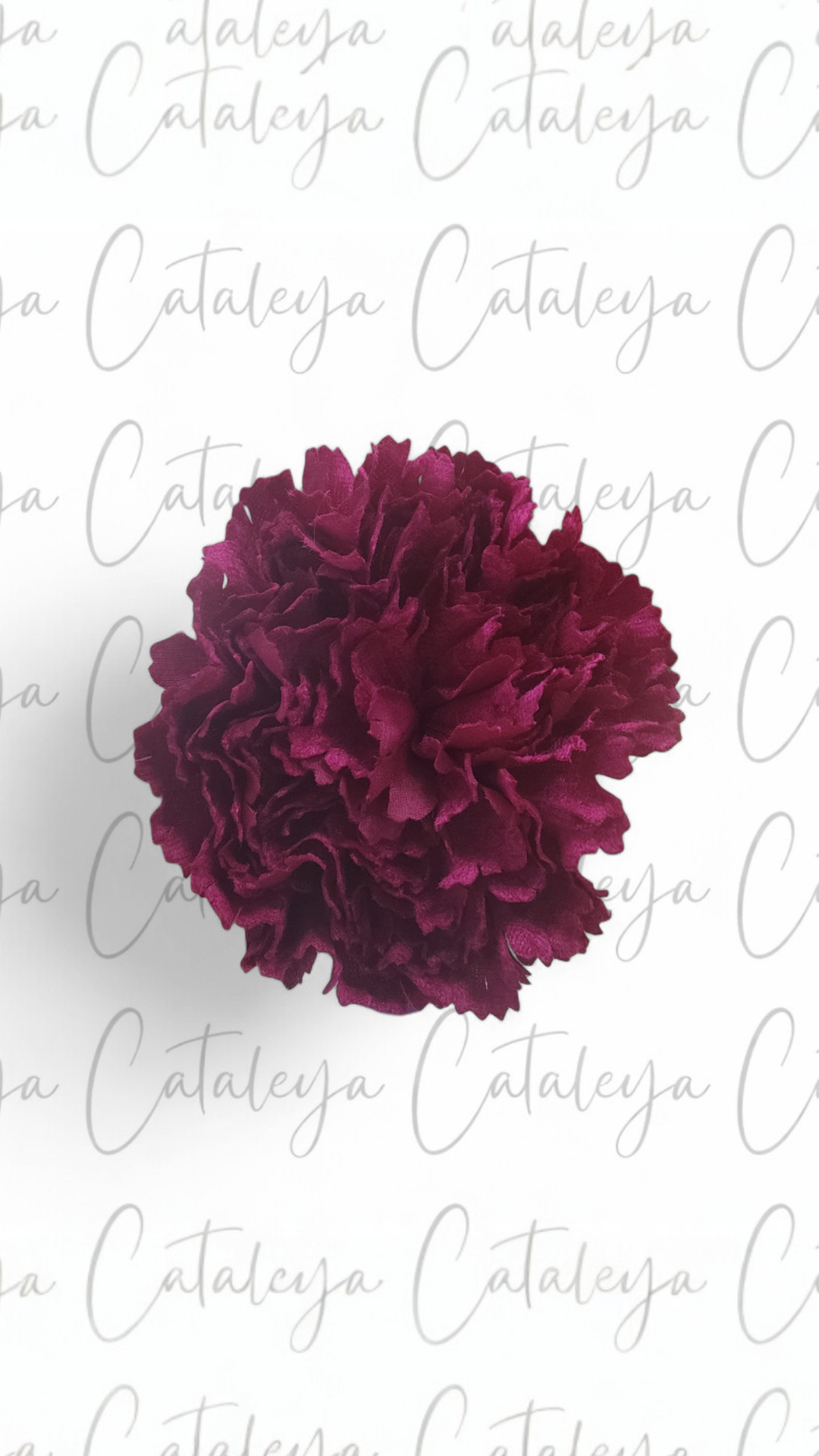 Clavel Terciopelo