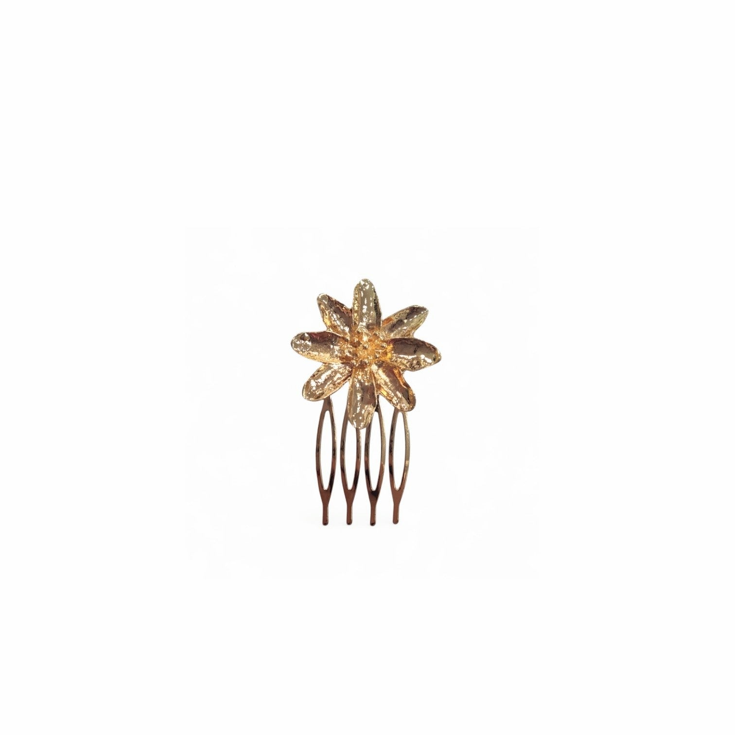 Peinecillo Eterna Primavera