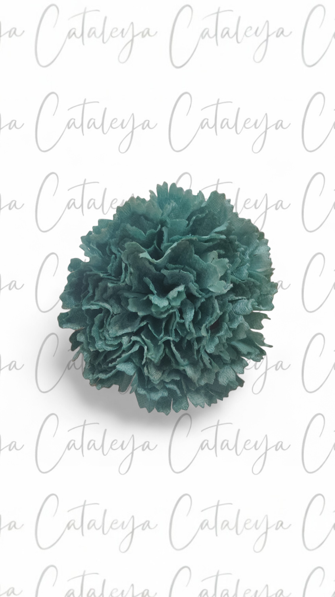 Clavel Terciopelo