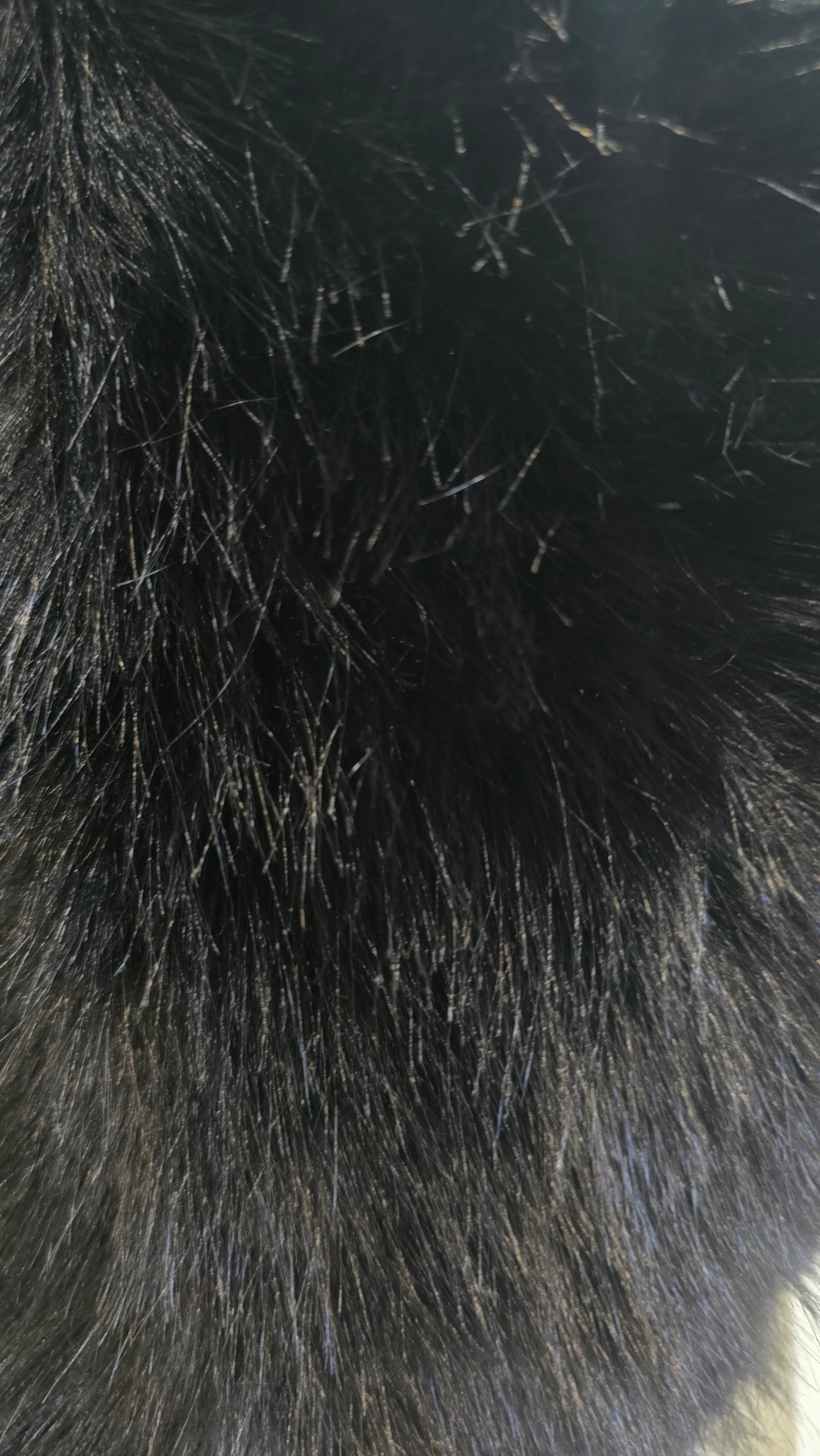 Solapa/cuellos de pelo