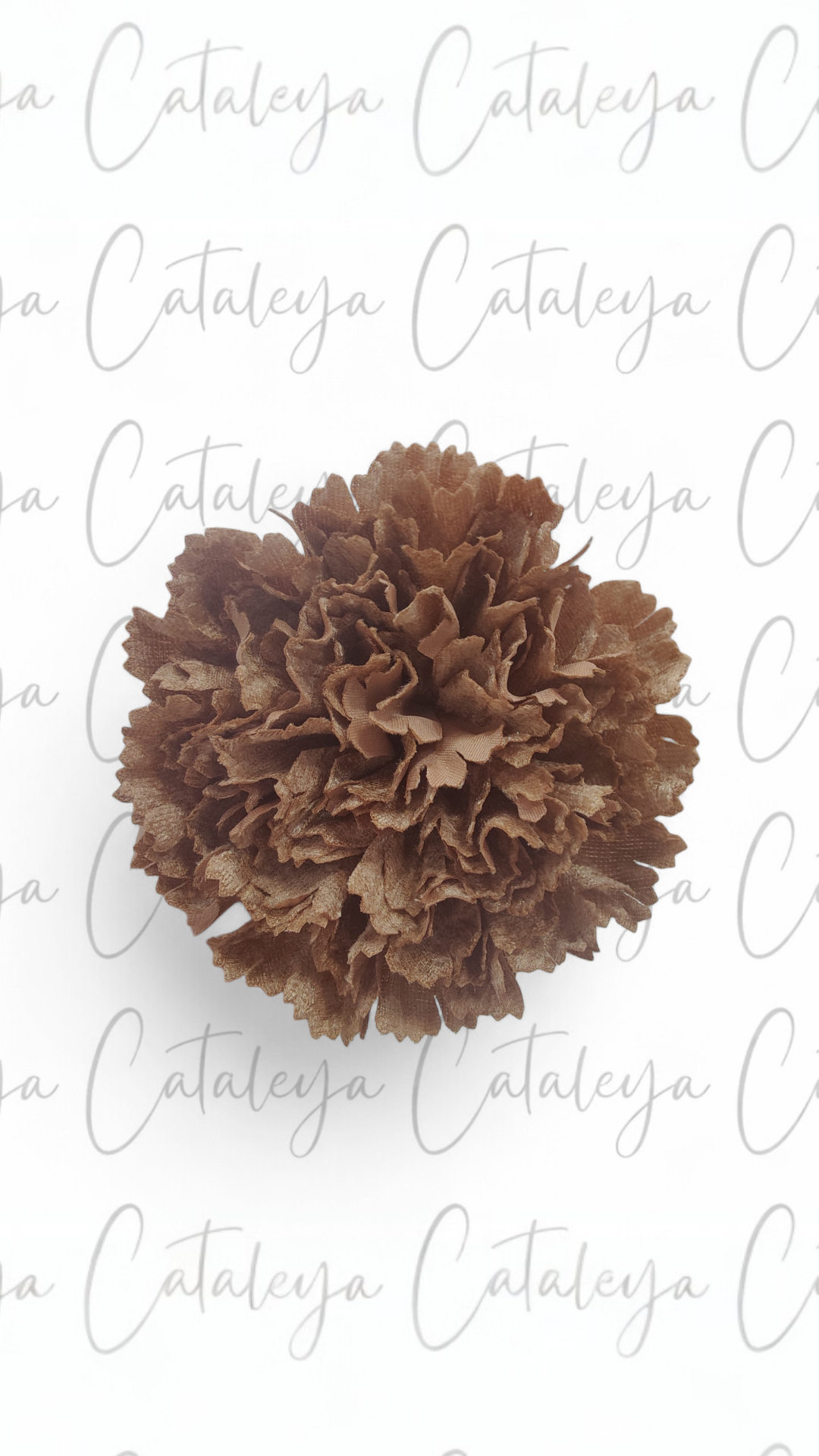 Clavel Terciopelo