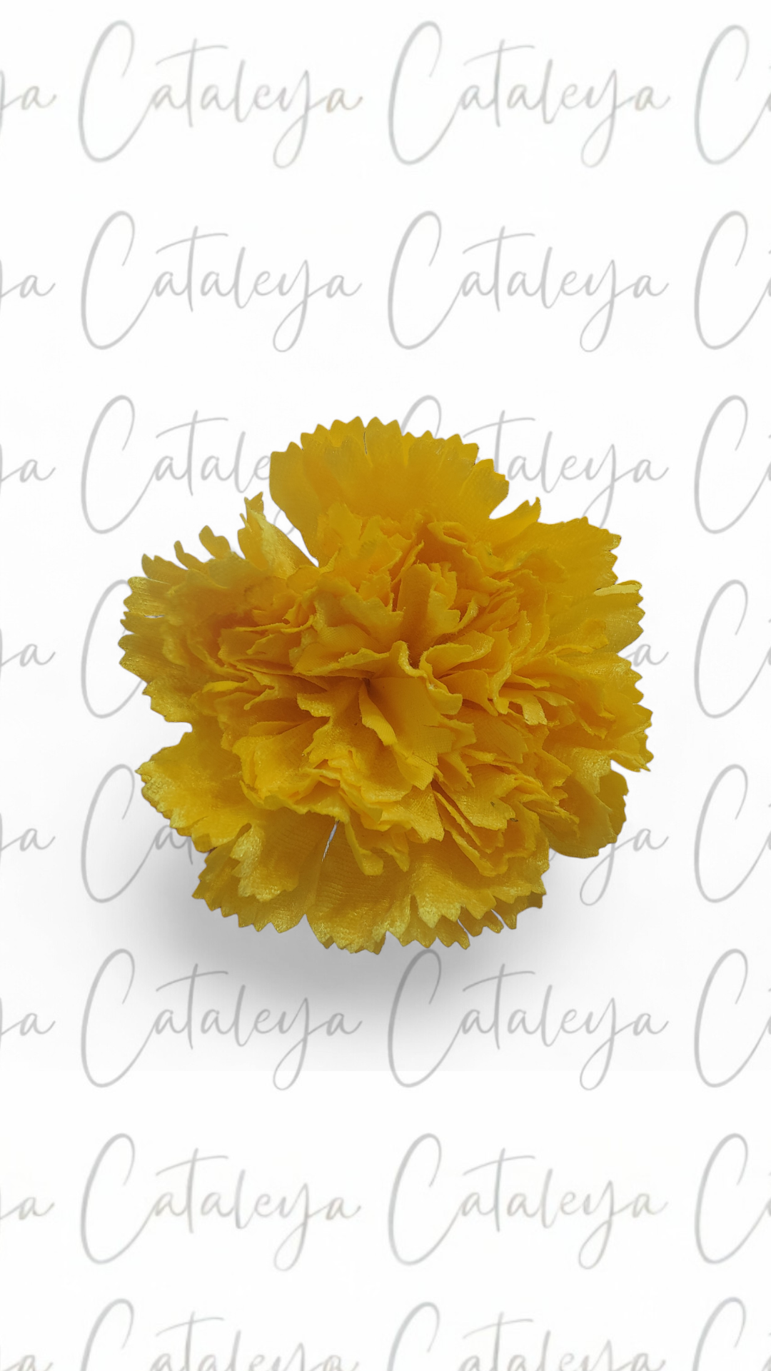 Clavel Terciopelo