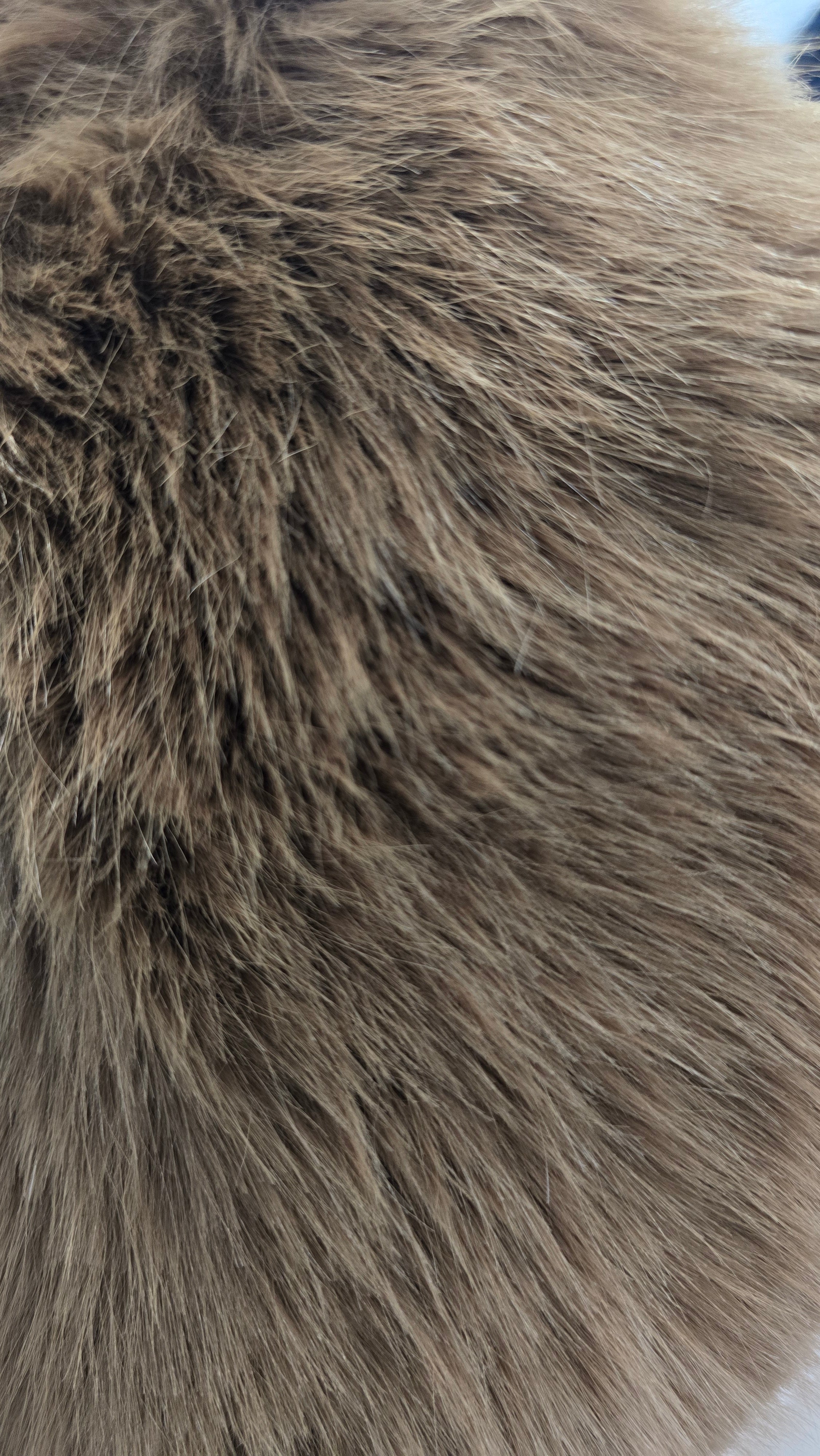 Solapa/cuellos de pelo