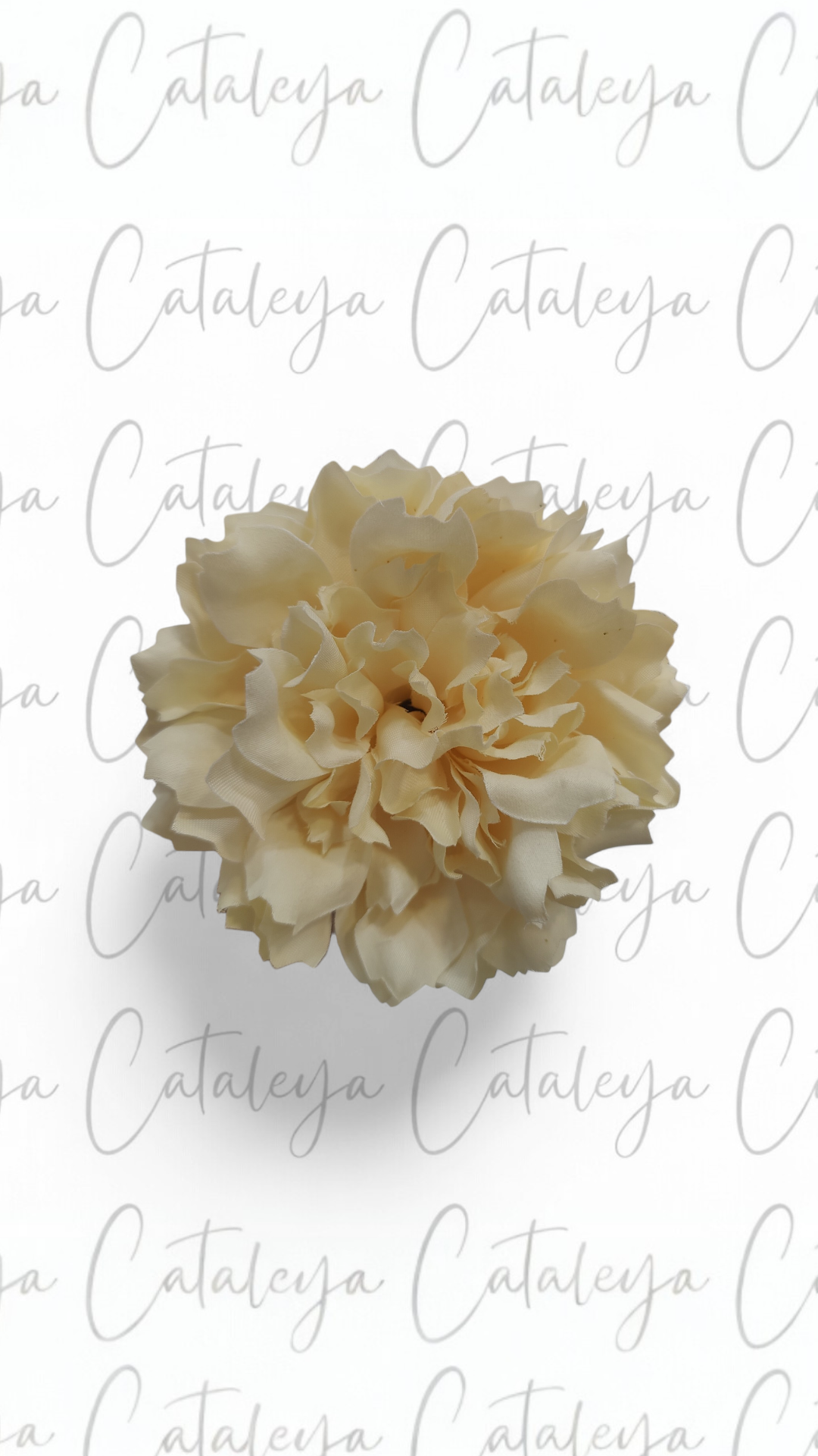 Dalia