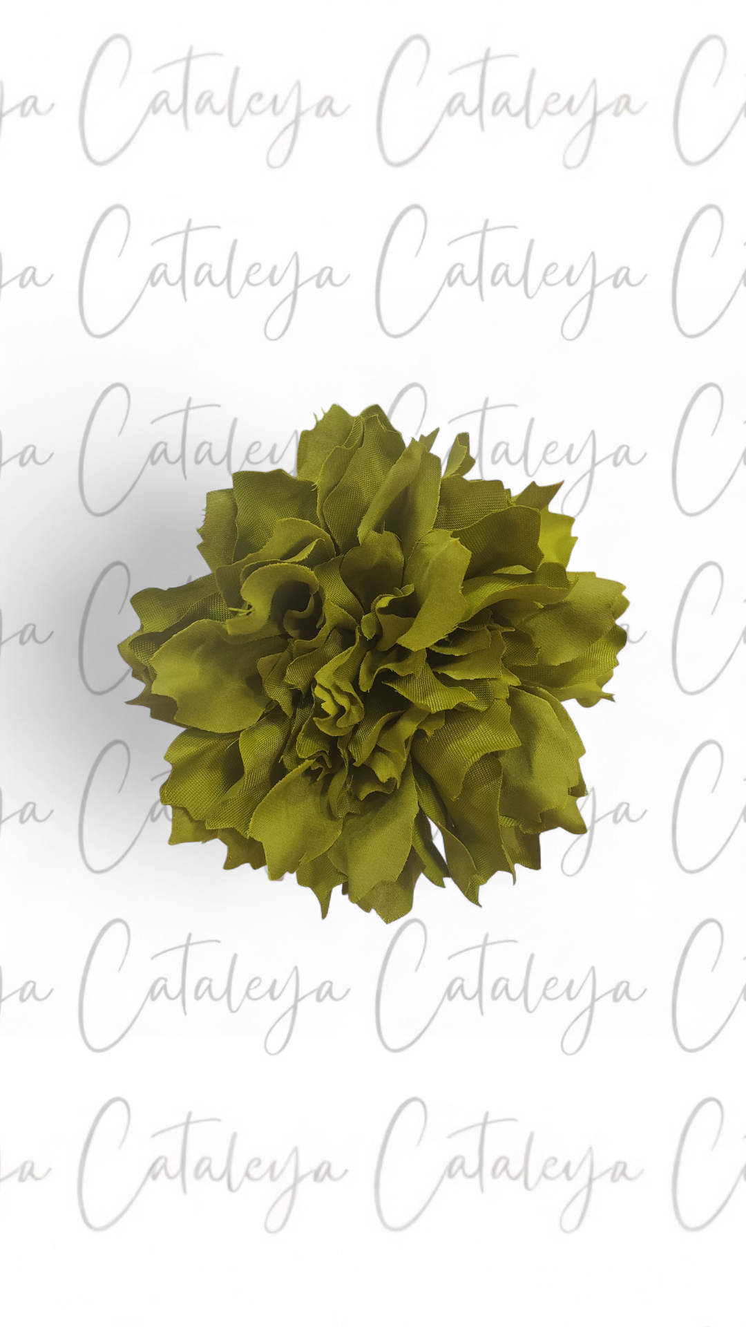 Dalia