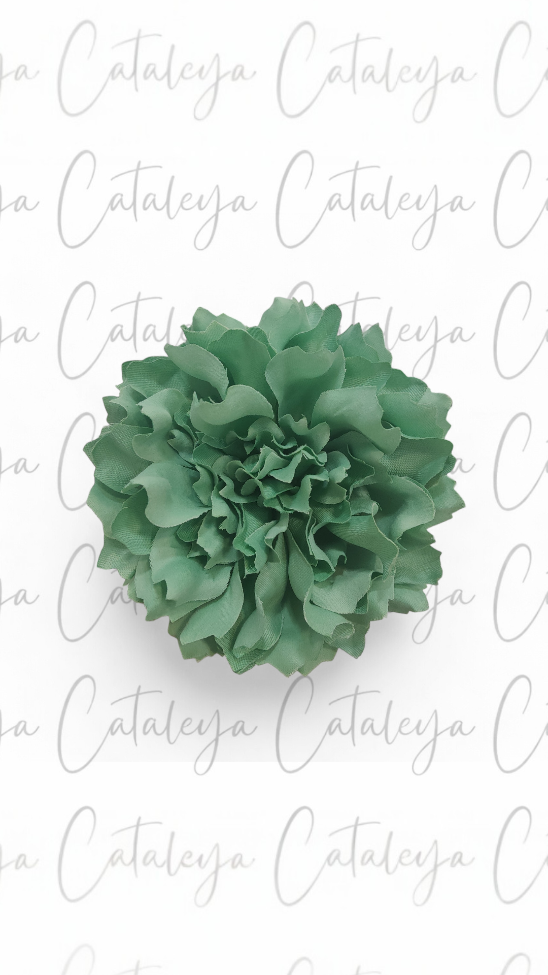 Dalia