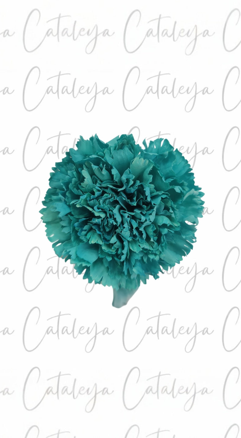 Clavel